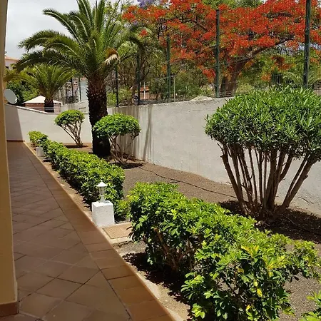 Apartamento 2d 2b Wifi Tv Playa Costa Adeje Tenerife Sur Apartment