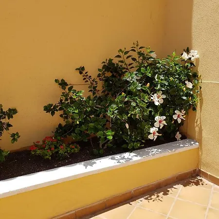 Apartamento 2d 2b Wifi Tv Playa Costa Adeje Tenerife Sur